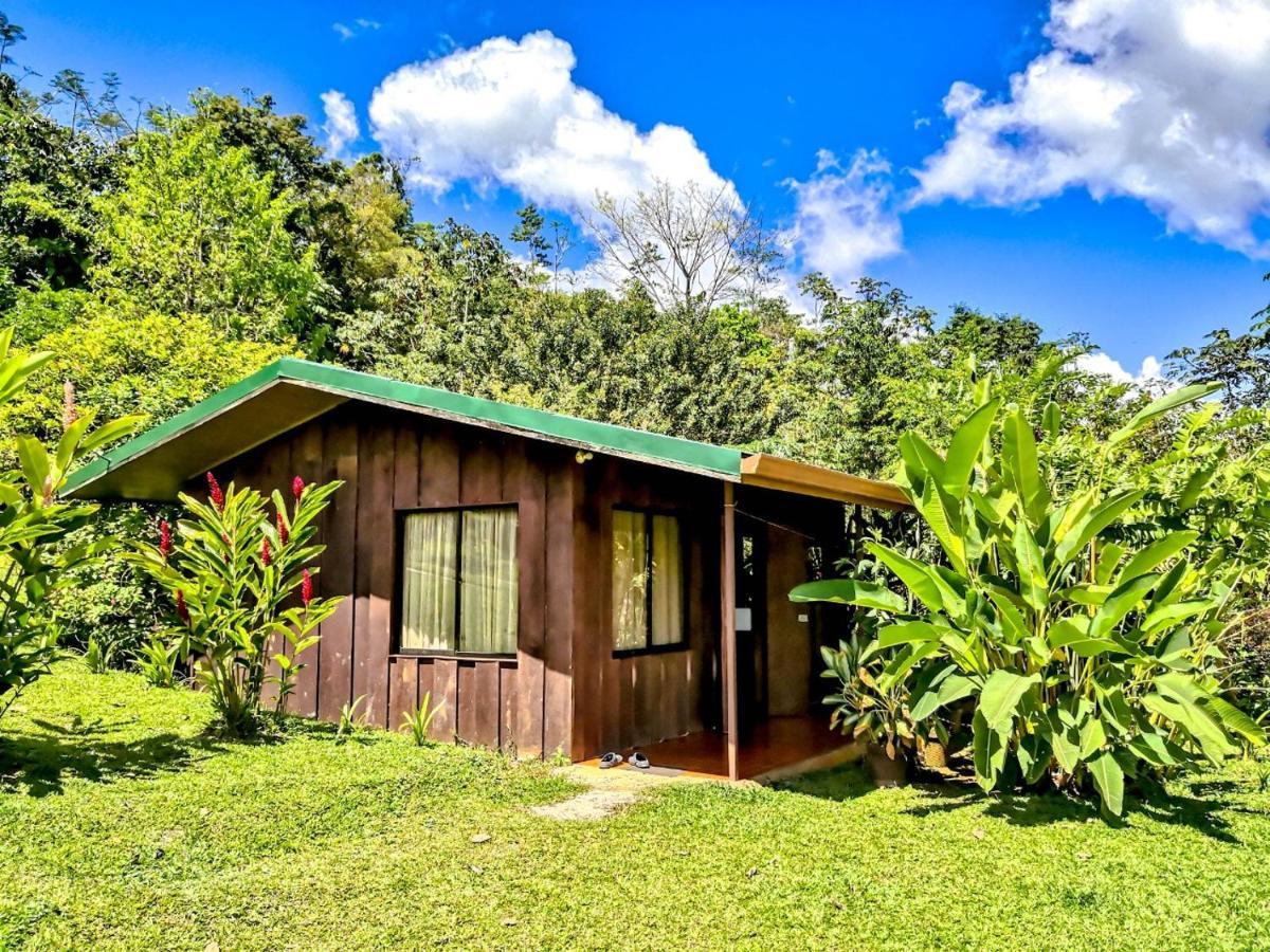 Cabanas Montanas Del Tenorio Rio Celeste Экстерьер фото