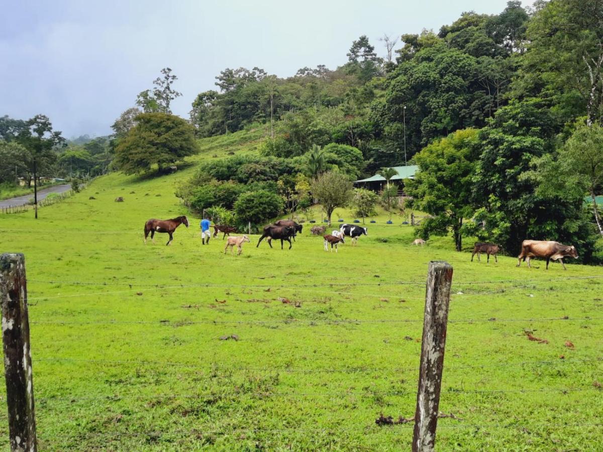 Cabanas Montanas Del Tenorio Rio Celeste Экстерьер фото